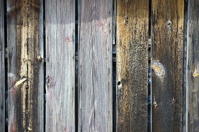 Free Wood Wooden photo and picture