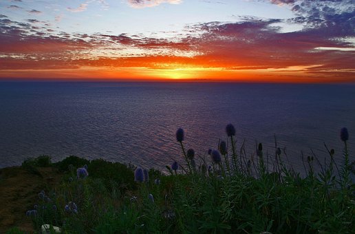 Solnedgang, Hav, Natur, Panorama
