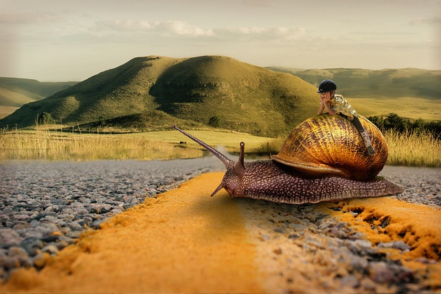 snail, girl, patience, horse riding, road, slow, fantasy, surreal, photoshop, composing, photomontage, compositing, snail, patience, patience, patience, patience, patience