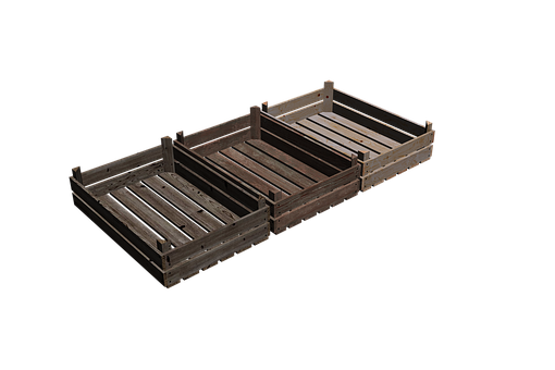 Lepenkové Krabice, Příroda, Box, Stromy