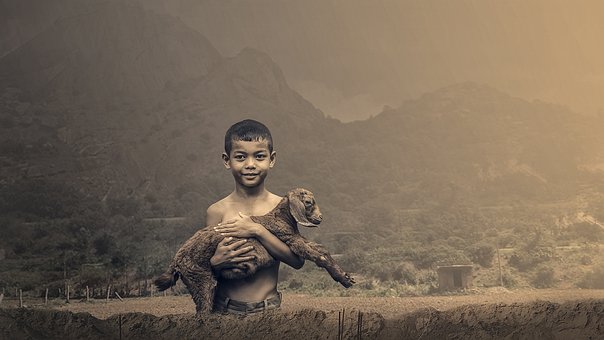 Free Boy Nature photo and picture
