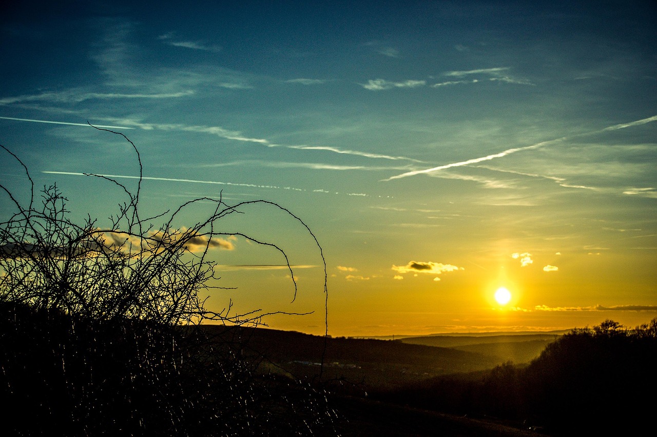 Winter, Baum, Westen, Sonnenuntergang