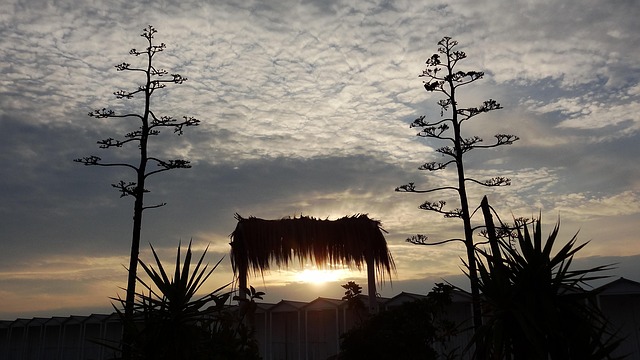 Himmel, Landskab, Vand, Solnedgang