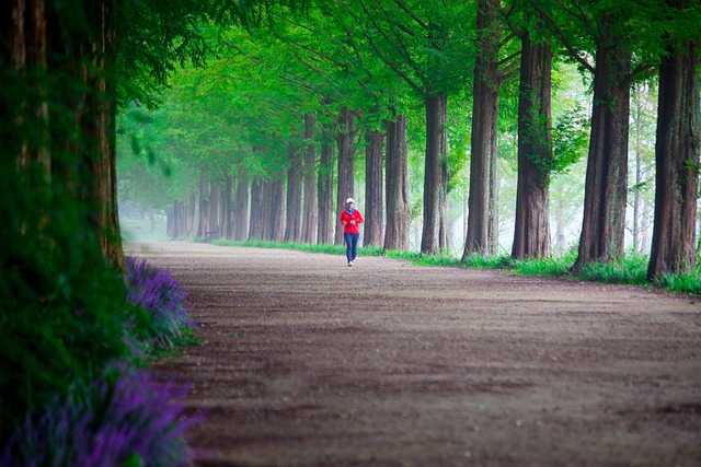 Free Tree Nature photo and picture