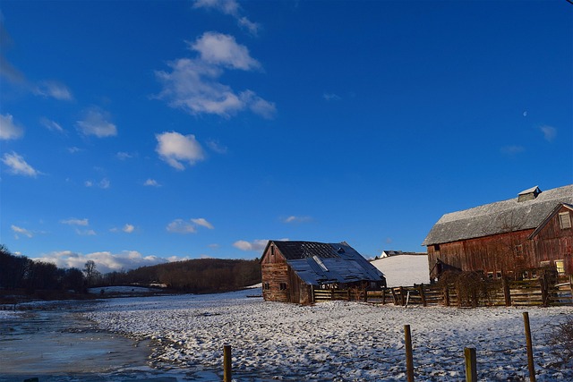 winter, snow, blue sky, shed, wooden, rural, cold, white, landscape, frost, sky, weather, field, ice, barn, farm, icy, outdoor, light, natural, clouds, blue, bright, color, morning, run down, nature, dilapidated, rustic, blue running, blue farm, blue run, blue morning