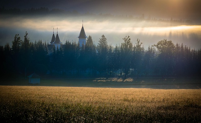 Free Sunrise Nature photo and picture