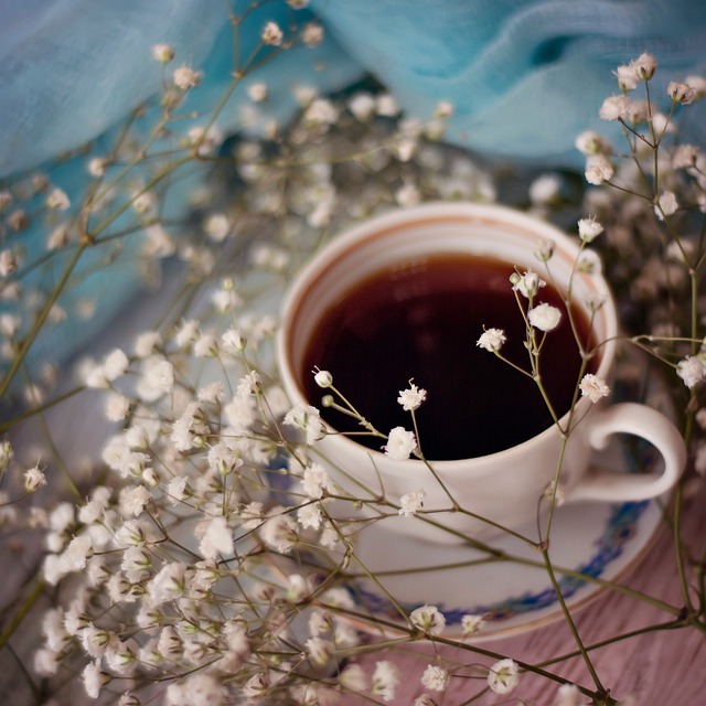 Drikke, Kop, Hed, Kaffe, Gypsophila