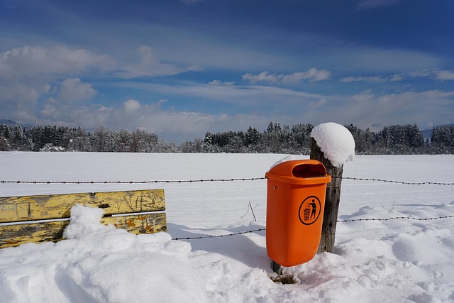 Sne, Vinter, Natur, Kold, Frosset
