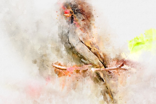 bird, watercolor, exotic, tree, colorful, tropical, nature, africa, freedom, feather, texture