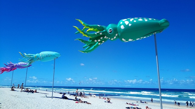 Free Relaxation Beach photo and picture