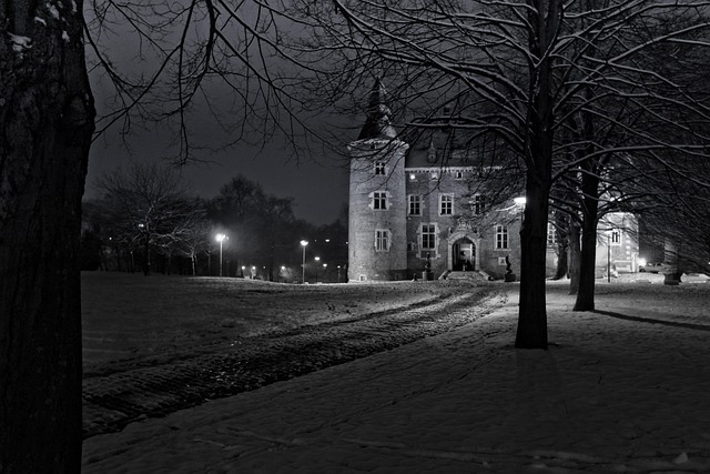 Free Tree Chateau photo and picture