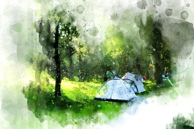 Grün, Zelt, Camping, Draussen, Reisen