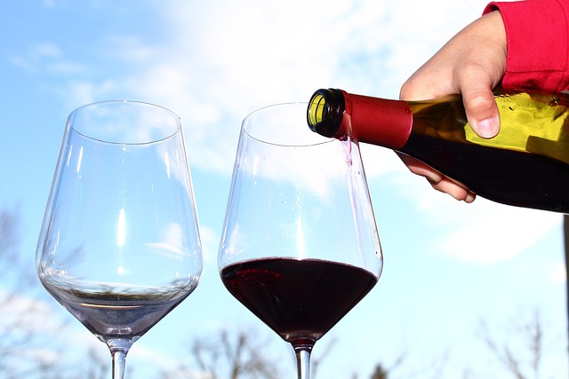 Free Wine Drink photo and picture