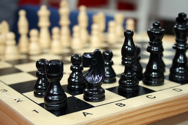 Free Chess Pawn photo and picture
