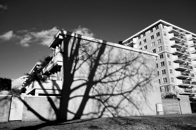 Free Shadow Building photo and picture