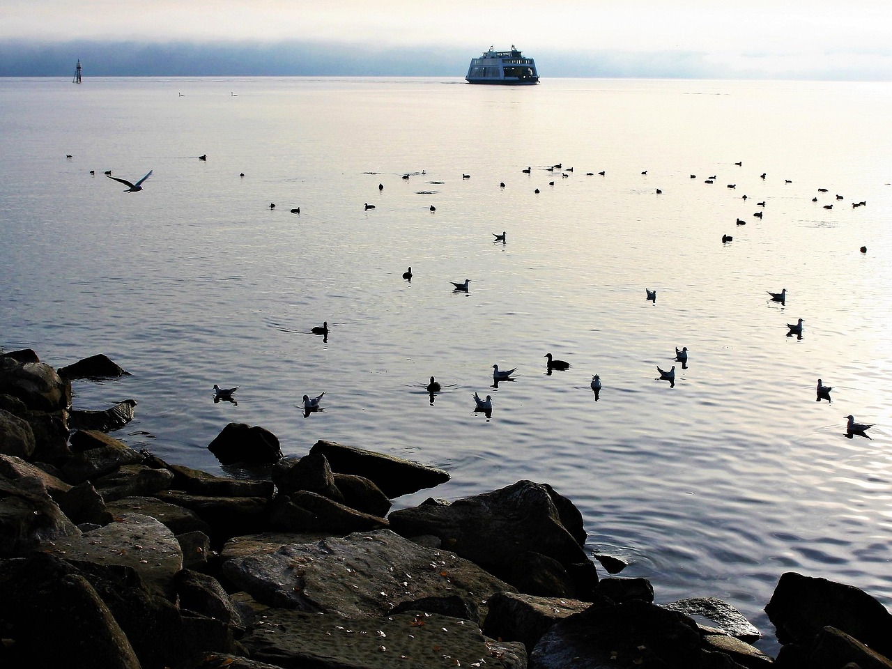 Water - free online jigsaw puzzle photo
