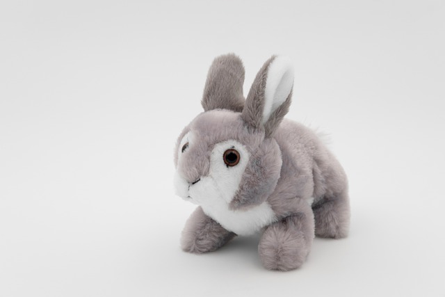 hare plush bunny cuddly free photo on pixabay baby girl photos download