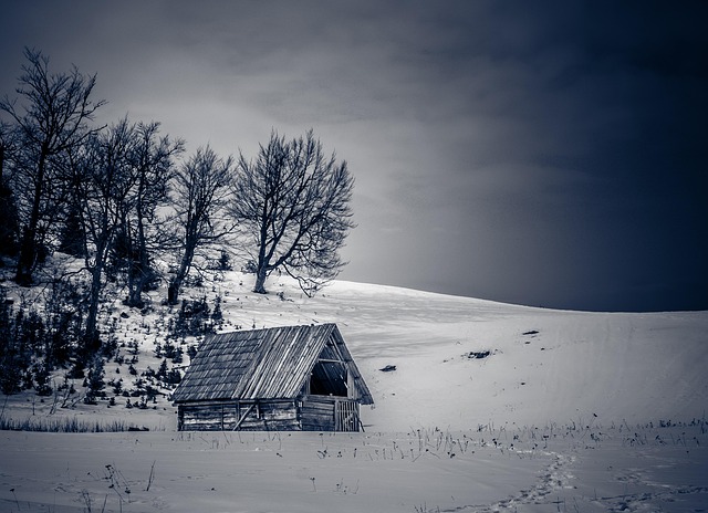 Free Winter Snow photo and picture