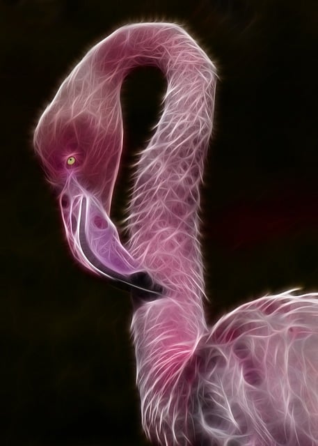 Free Fractalius Bird illustration and picture