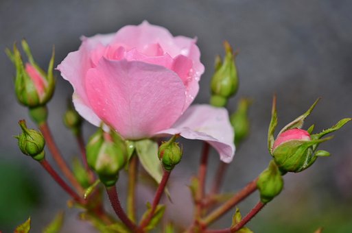 전북 익산 개인회생 파산 준비하기6