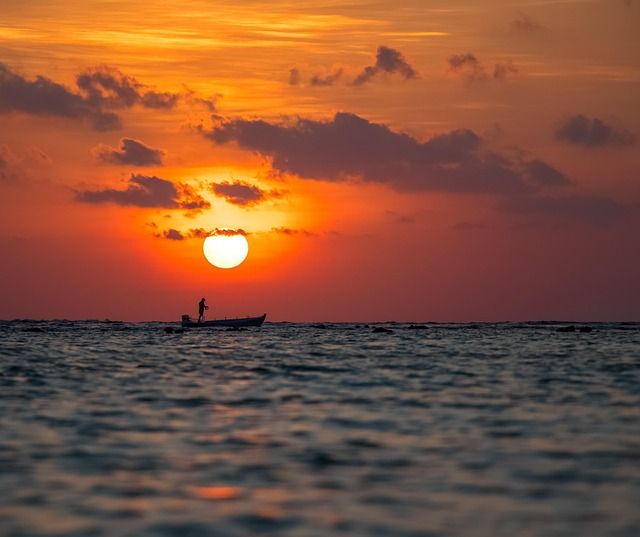 Free Sunset Sun photo and picture