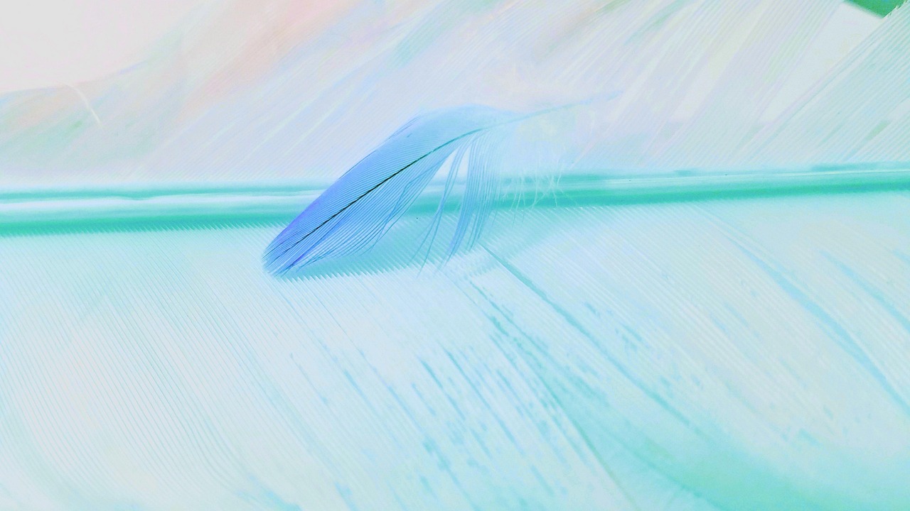 Abstract - free online jigsaw puzzle photo