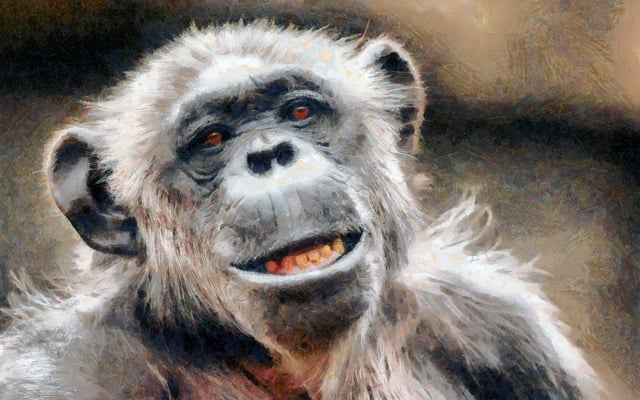 Free mammal animal fauna illustration