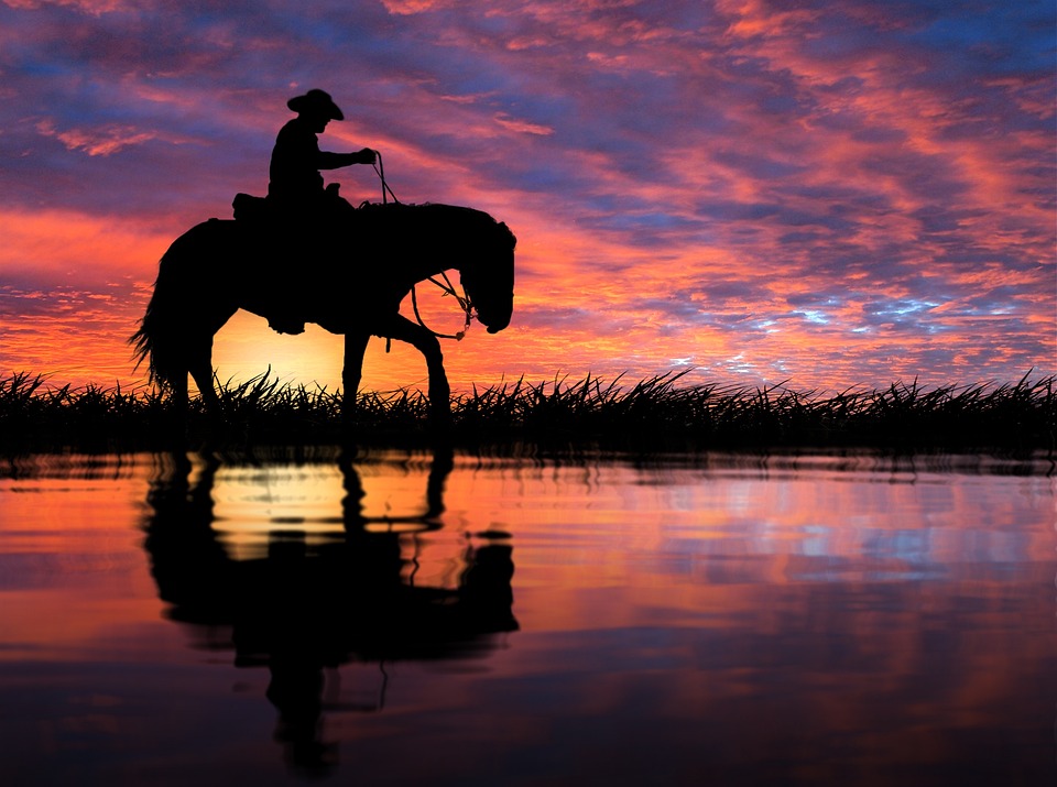 Sunset, Reflection, Dawn, Water, Lake, Landscape, River