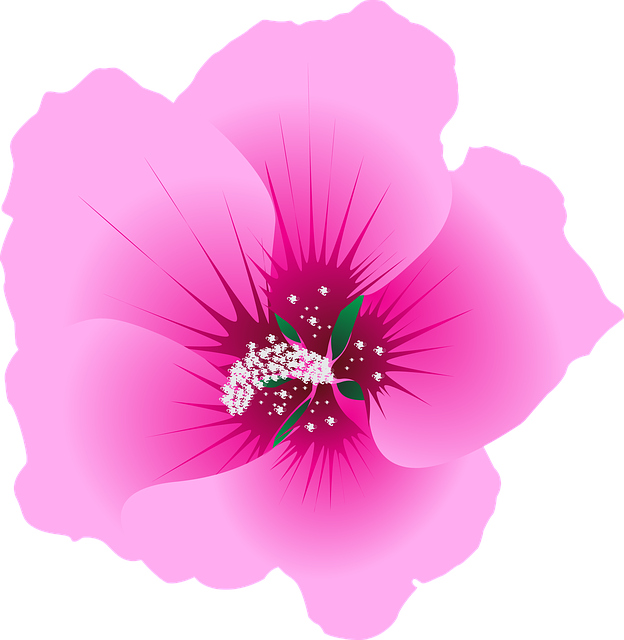 Flor, Jardim, Verde, Natureza, Folha
