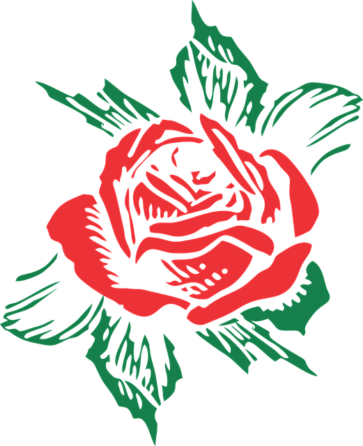 Rose, Blume, Schöne Blumen, Blumen