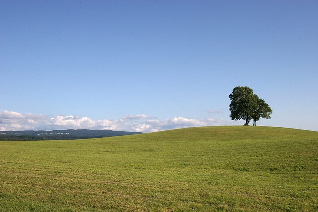 Free Nature Landscape photo and picture