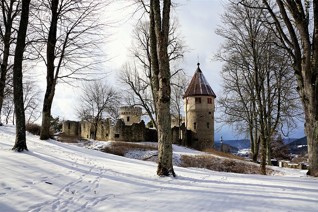 Free Winter Snow photo and picture