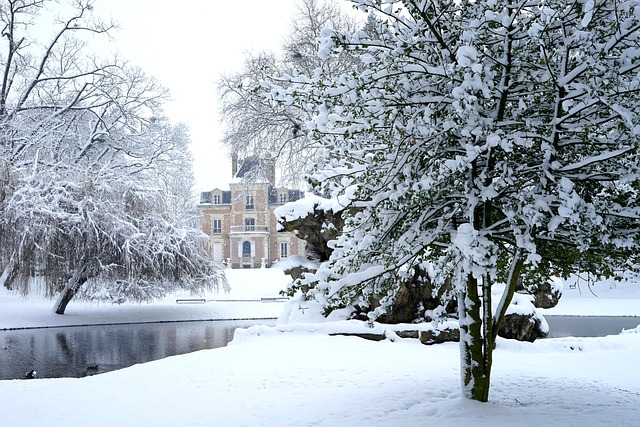 Free Snow Winter photo and picture