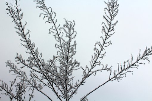 Что делать, если холодильник с No Frost не морозит …