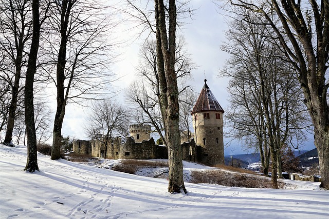 Free Winter Snow photo and picture