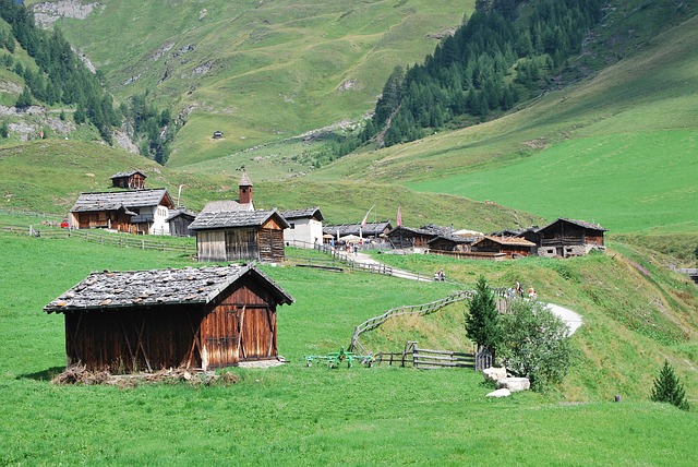 Free House Hovel photo and picture