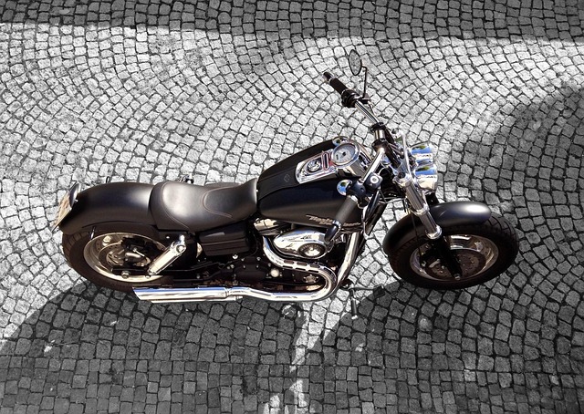 Free Bike Harley photo and picture