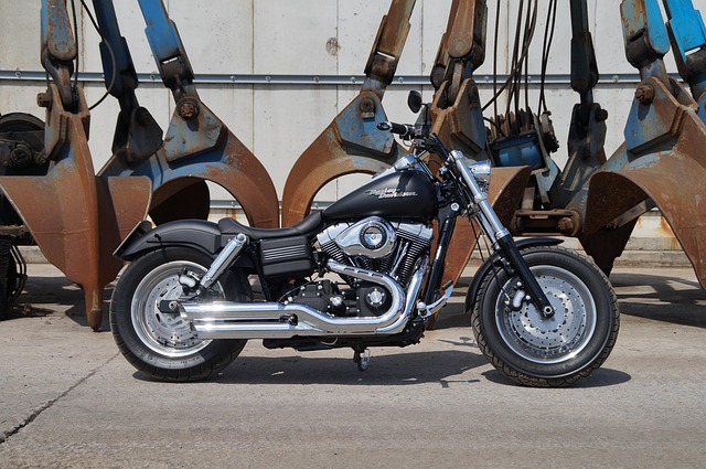 Free Harley Harley Davidson photo and picture