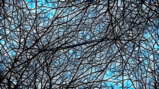 Free neurons cells rail illustration