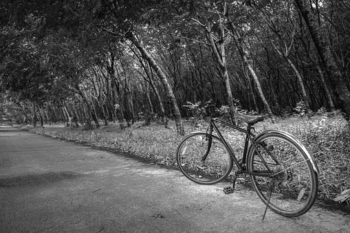 La Carretera, Transporte, Rueda