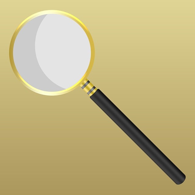 Free increase magnifier zoom illustration