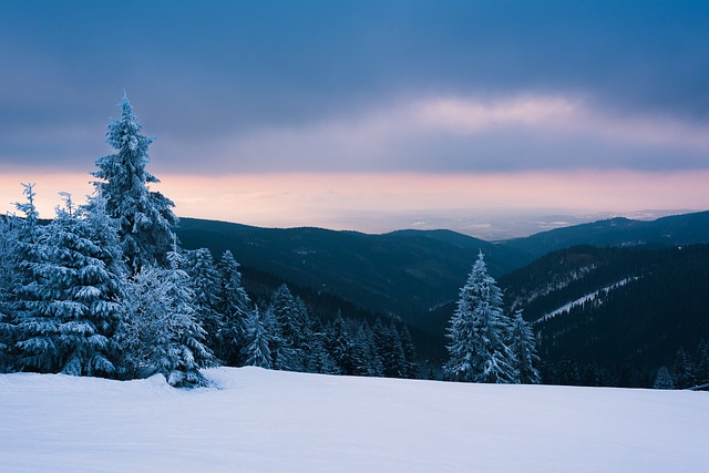 Free Snow Winter photo and picture