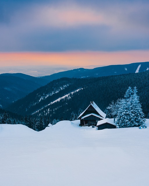 Free Snow Winter photo and picture