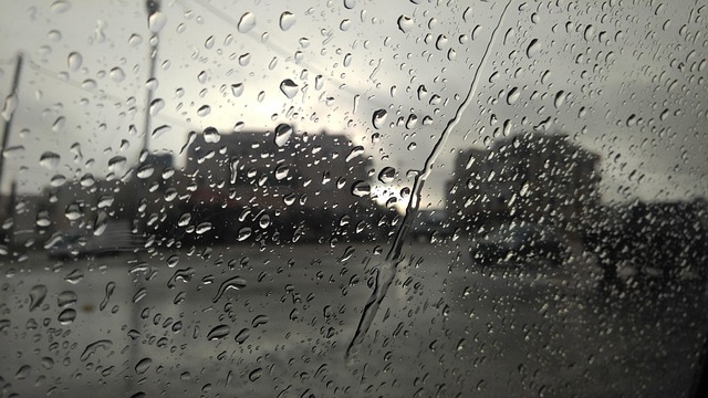 Free Rain Drop photo and picture