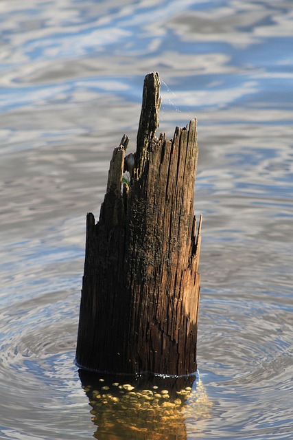 Free Water Outdoors photo and picture