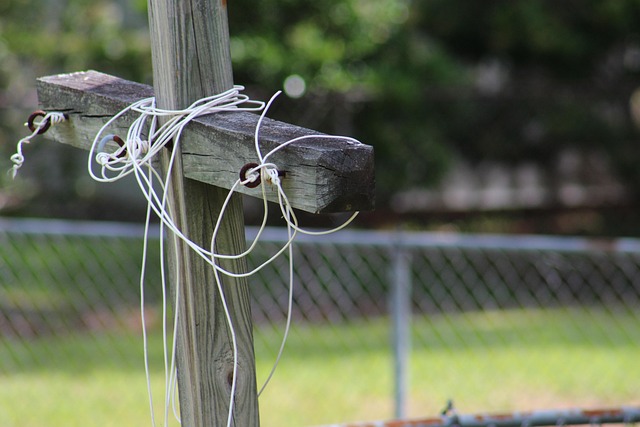 Free Fence Nature photo and picture