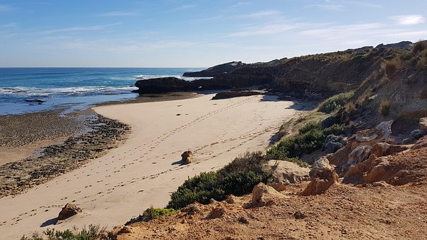 Free Seashore Sea photo and picture