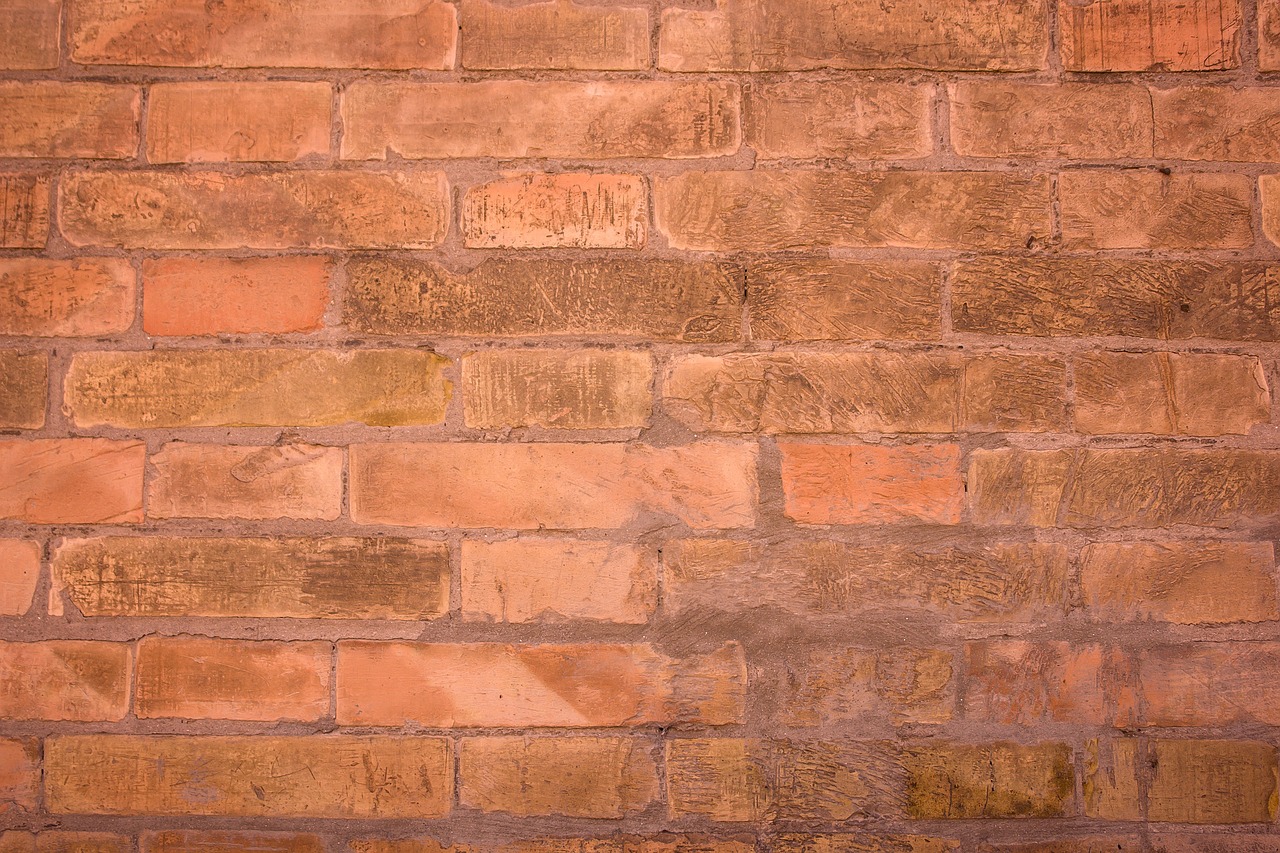 Red - free online jigsaw puzzle photo