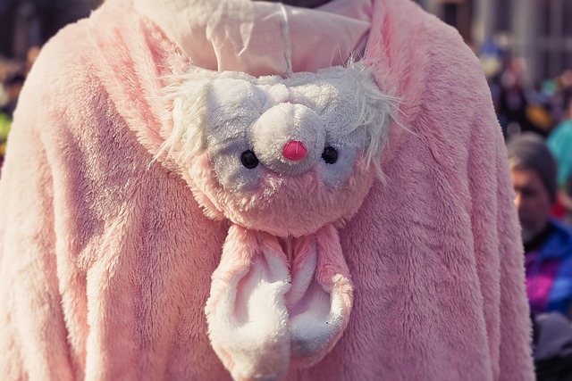 people, carnival, fixed, mask, costume, music, coloured, disguise, rose monday, rose monday train, multicoloured, colorful, to celebrate, fun, event, regional customs, dressed up, fool time, decorated, masquerade, dress, annually, dusseldorf, wig, jeck, jecke, rabbit, pink, plush