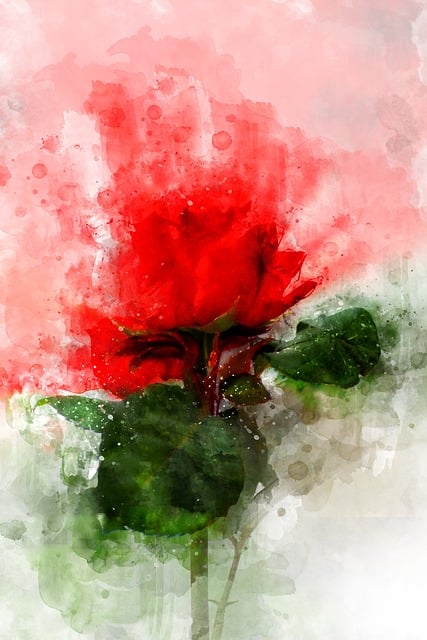 Free rose watercolor red illustration